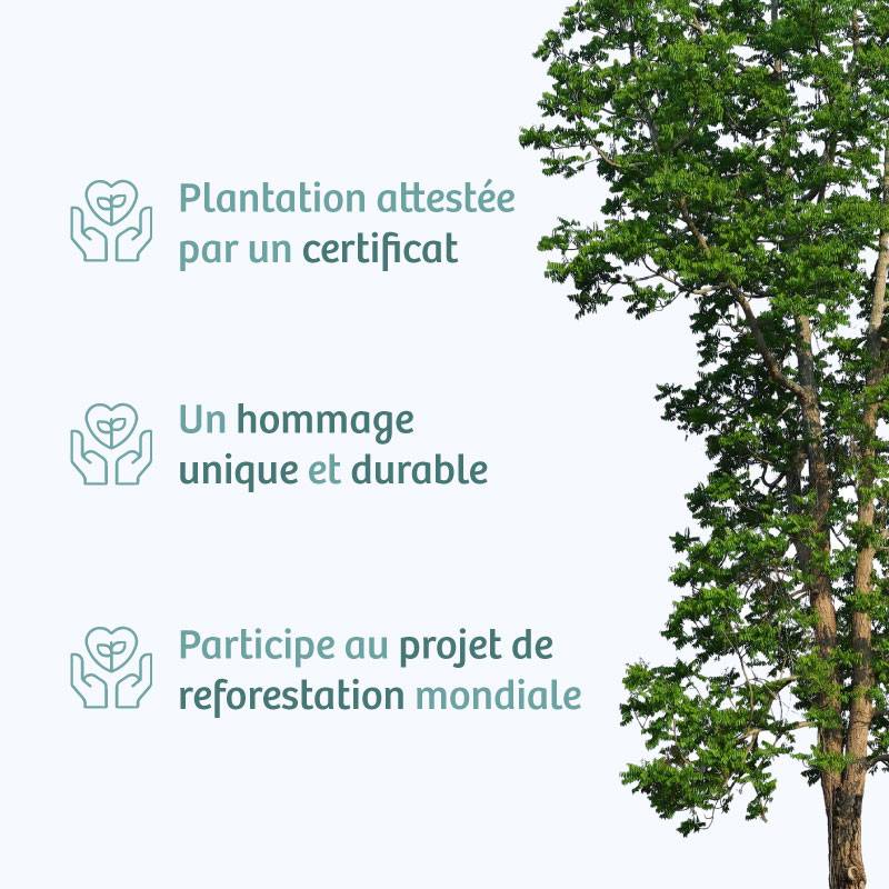 Planter un arbre en hommage à Mme Danielle PARRY